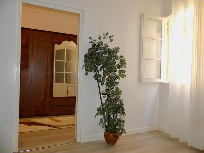 A Cozy Right In The Heart Of Ferienhaus Tanger
